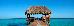 Thumbnail 39