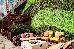 Thumbnail 239