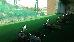 Thumbnail 97
