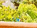 Thumbnail 263