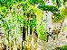 Thumbnail 26