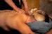 Thumbnail 185