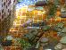 Thumbnail 22
