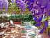 Thumbnail 21