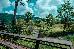 Thumbnail 29