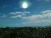 Thumbnail 26