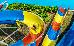 Thumbnail 51