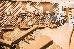 Thumbnail 161