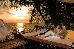 Thumbnail 22