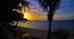 Thumbnail 22