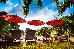 Thumbnail 44