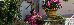 Thumbnail 21