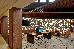 Thumbnail 28