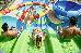 Thumbnail 41