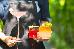Thumbnail 60