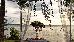 Thumbnail 32