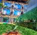 Thumbnail 14