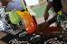 Thumbnail 37