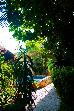 Thumbnail 23