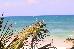 Thumbnail 90