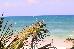 Thumbnail 87