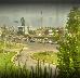 Thumbnail 67