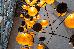 Thumbnail 30