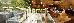 Thumbnail 36