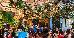 Thumbnail 23