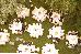 Thumbnail 79
