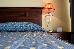 Thumbnail 30