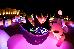 Thumbnail 43