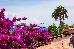 Thumbnail 32