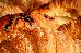 Thumbnail 93