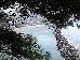 Thumbnail 28