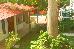 Thumbnail 28