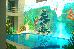 Thumbnail 42