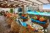 Thumbnail 25