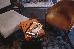 Thumbnail 14