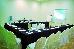 Thumbnail 20