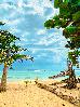 Thumbnail 51