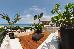 Thumbnail 65