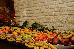 Thumbnail 56