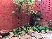 Thumbnail 22