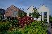 Thumbnail 13