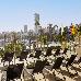 Thumbnail 21