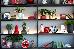 Thumbnail 249