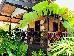 Thumbnail 23