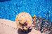 Thumbnail 65