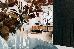 Thumbnail 20